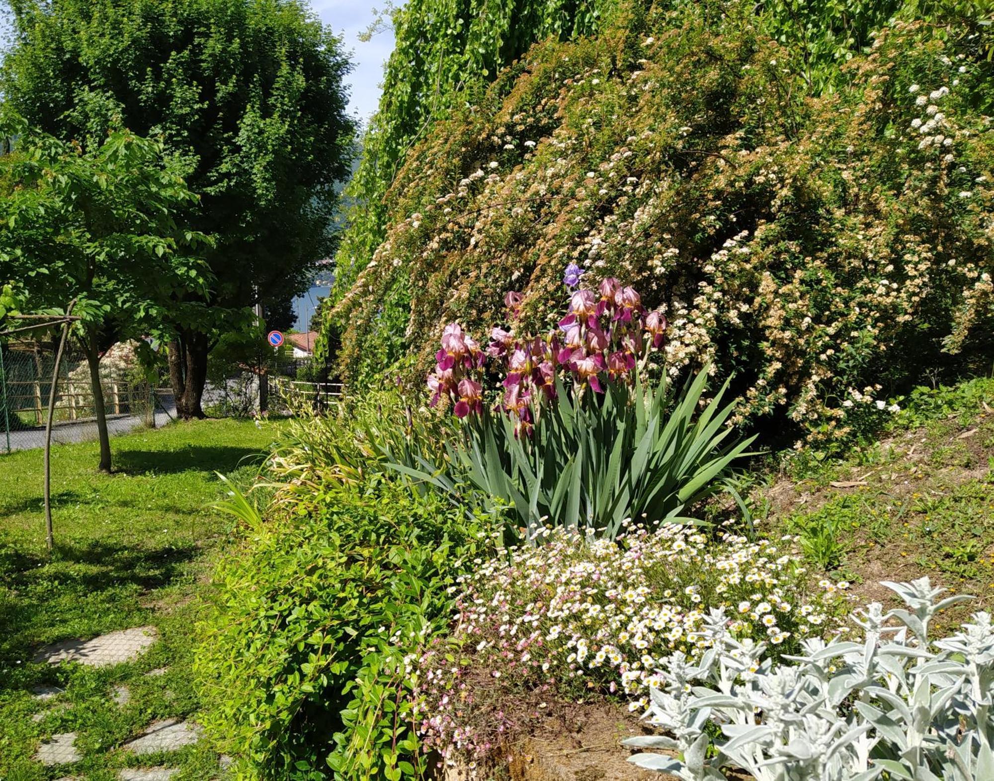 Il Bogno B&B Льерна Экстерьер фото
